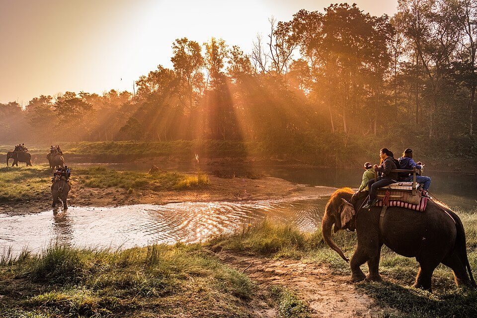 Visitors on elephant back crossing a river in Chitwan at sunrise