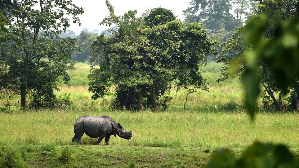 Chitwan National Park