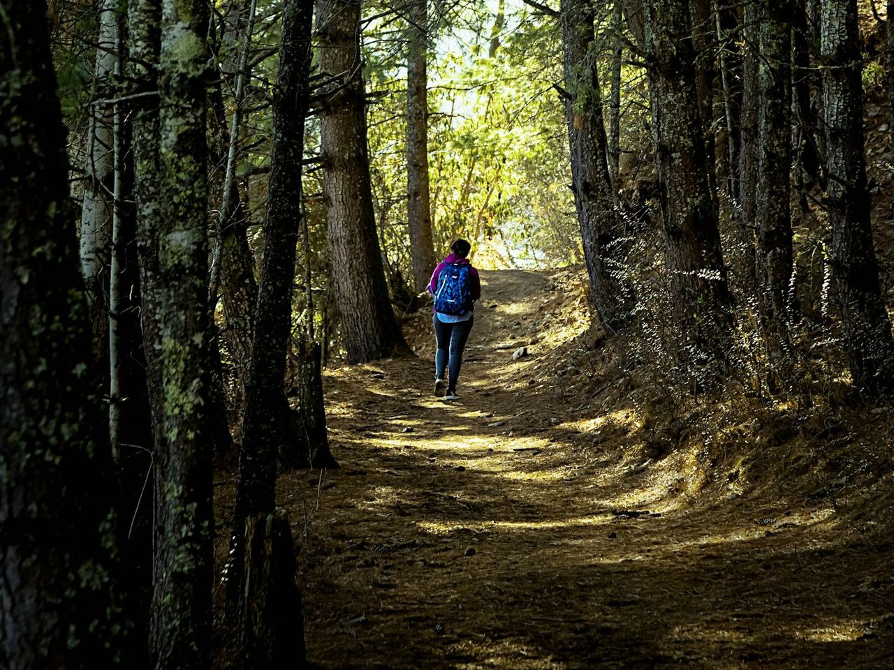Godawari to Phulchoki Hike expectations