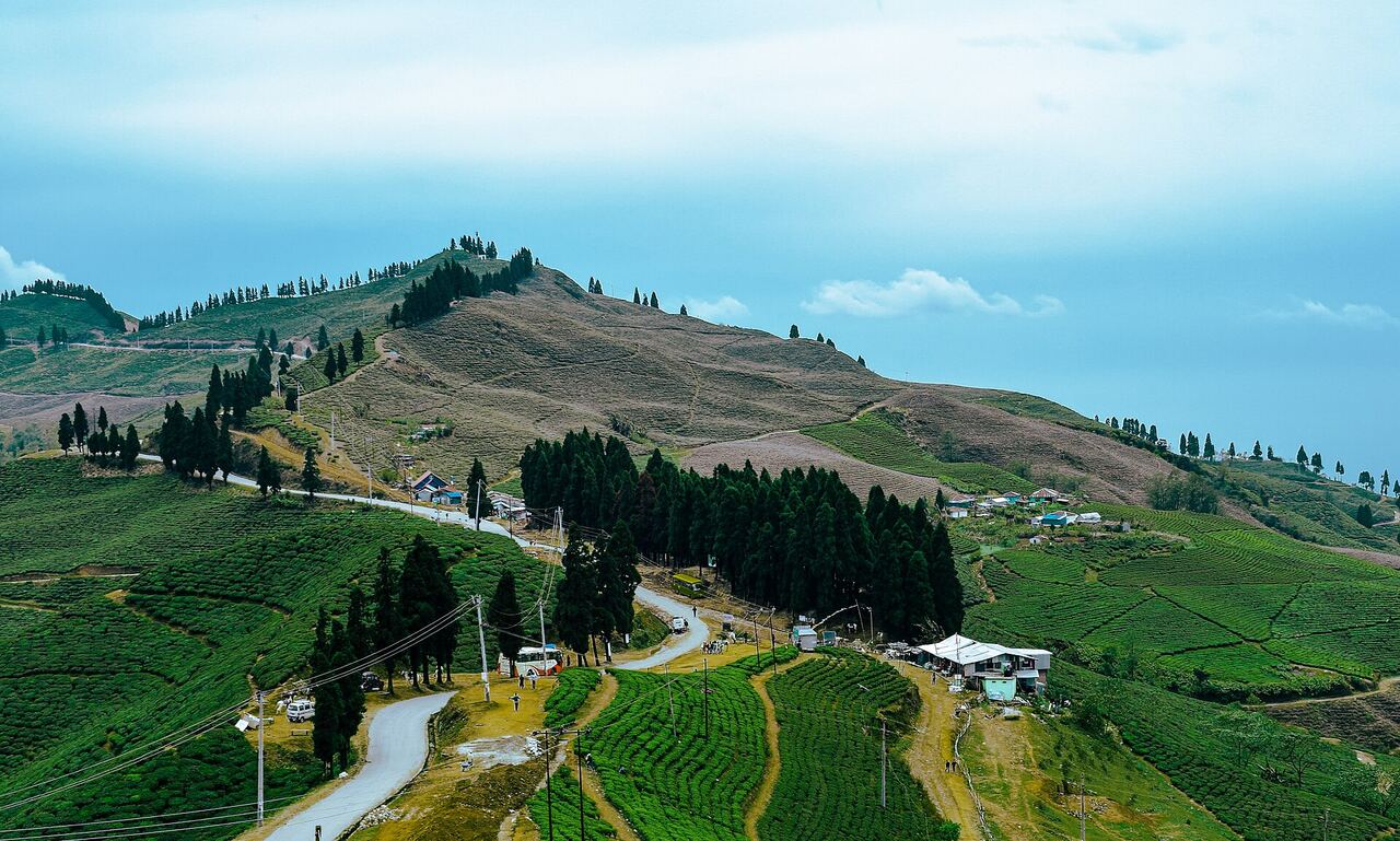 The Kanyam tea garden spread across the hills, with a winding road
