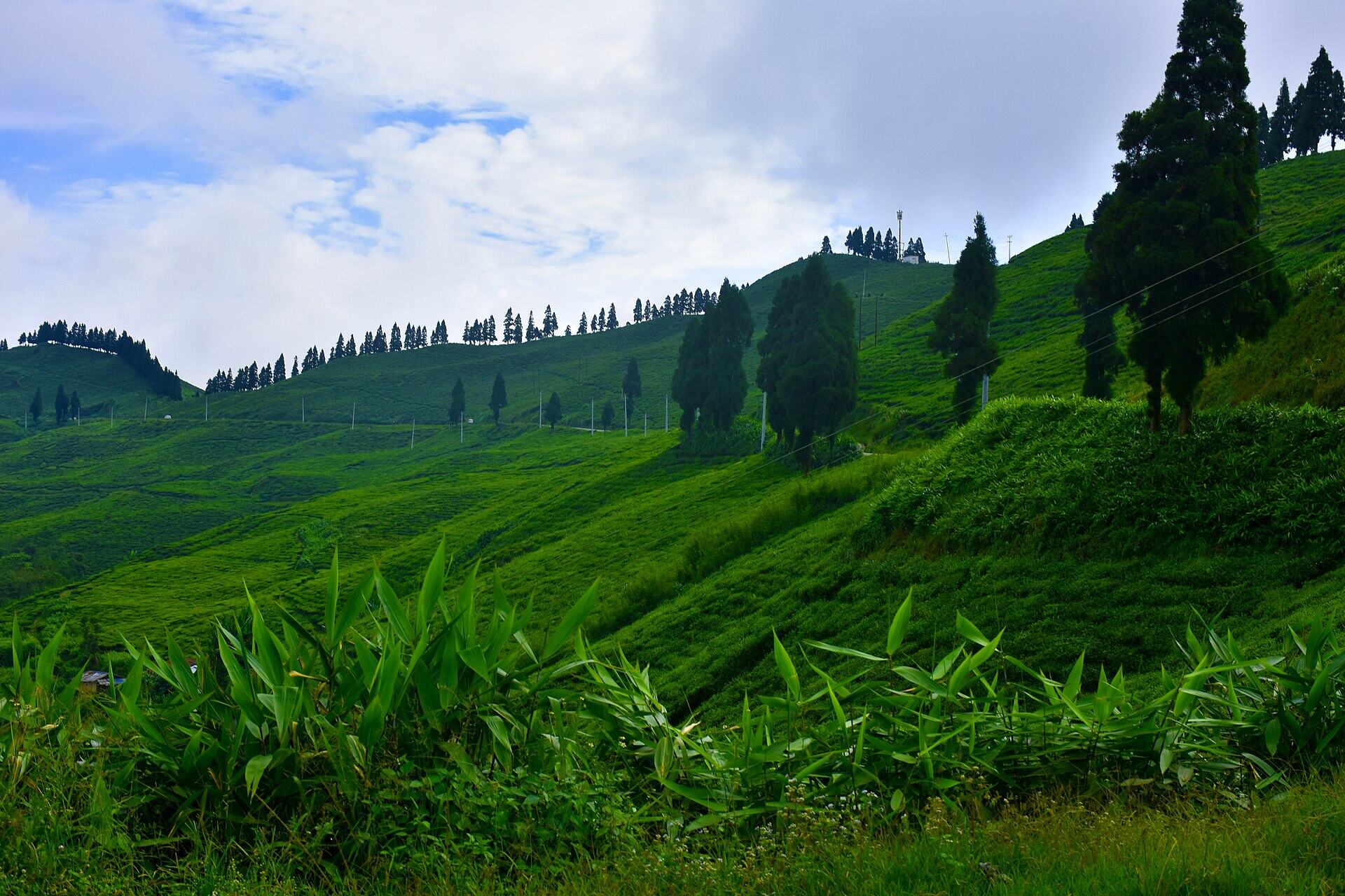 Ilam
