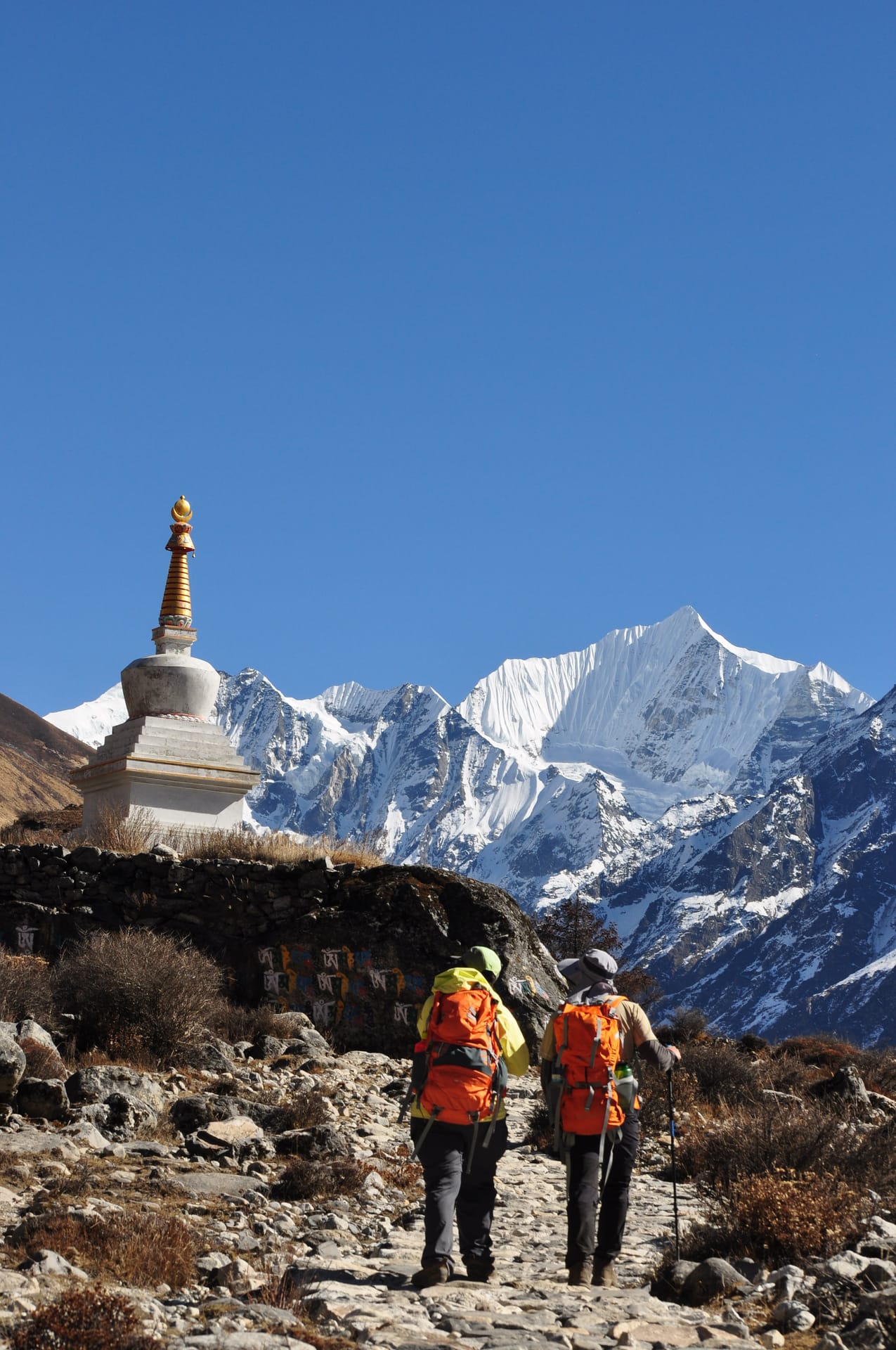 Langtang 1