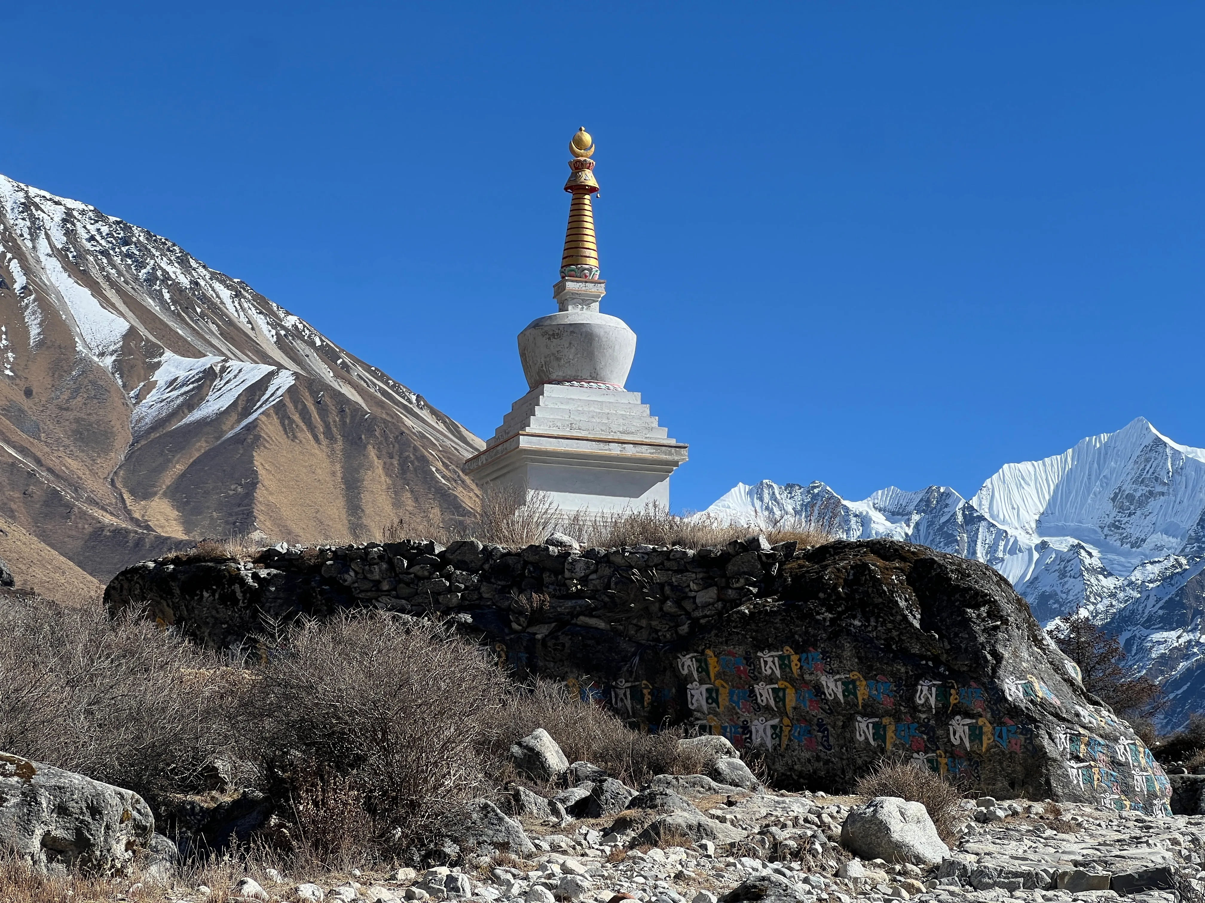 Trekking over Hillary Suspension Bridge