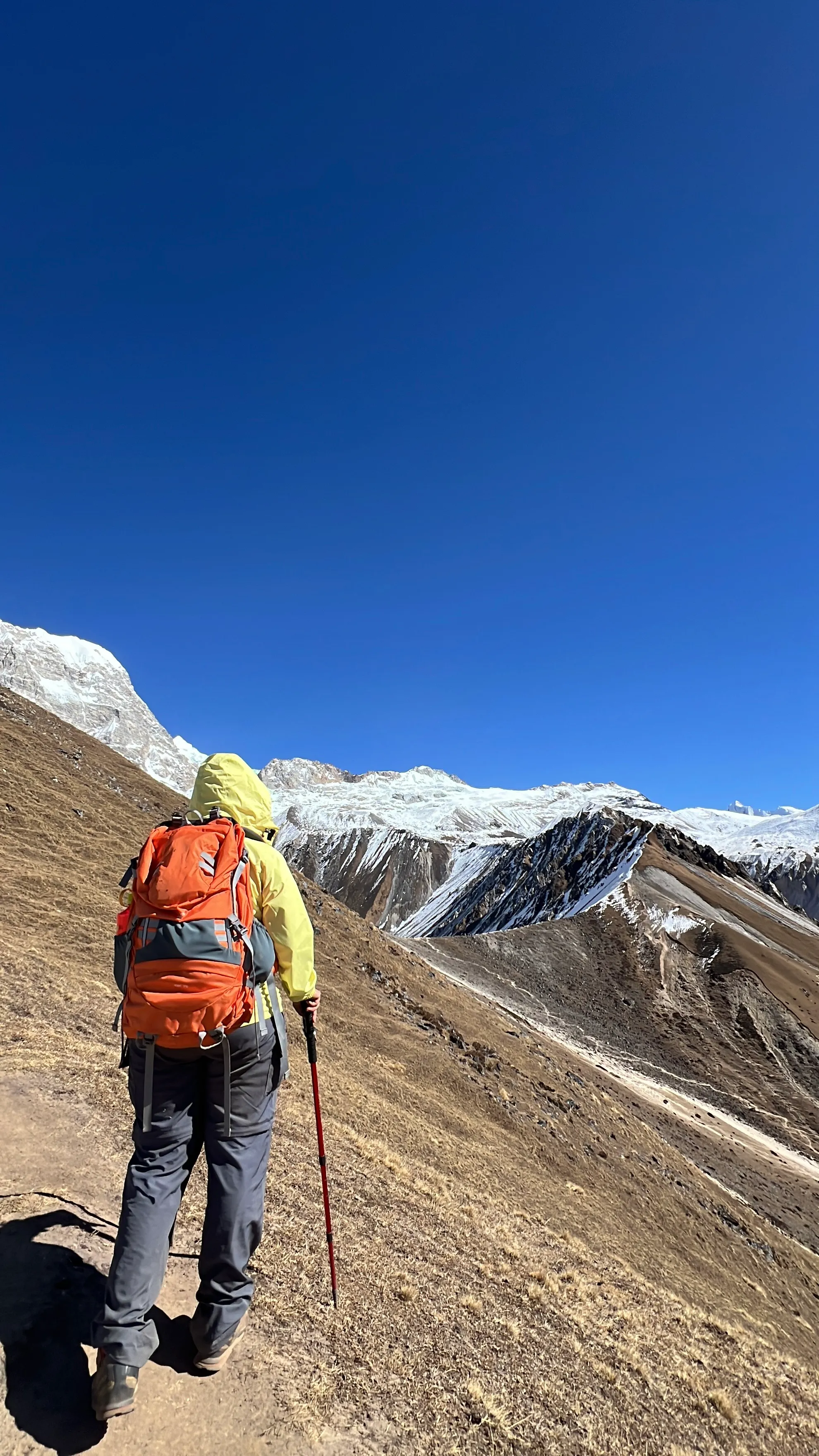 Trekking over Hillary Suspension Bridge
