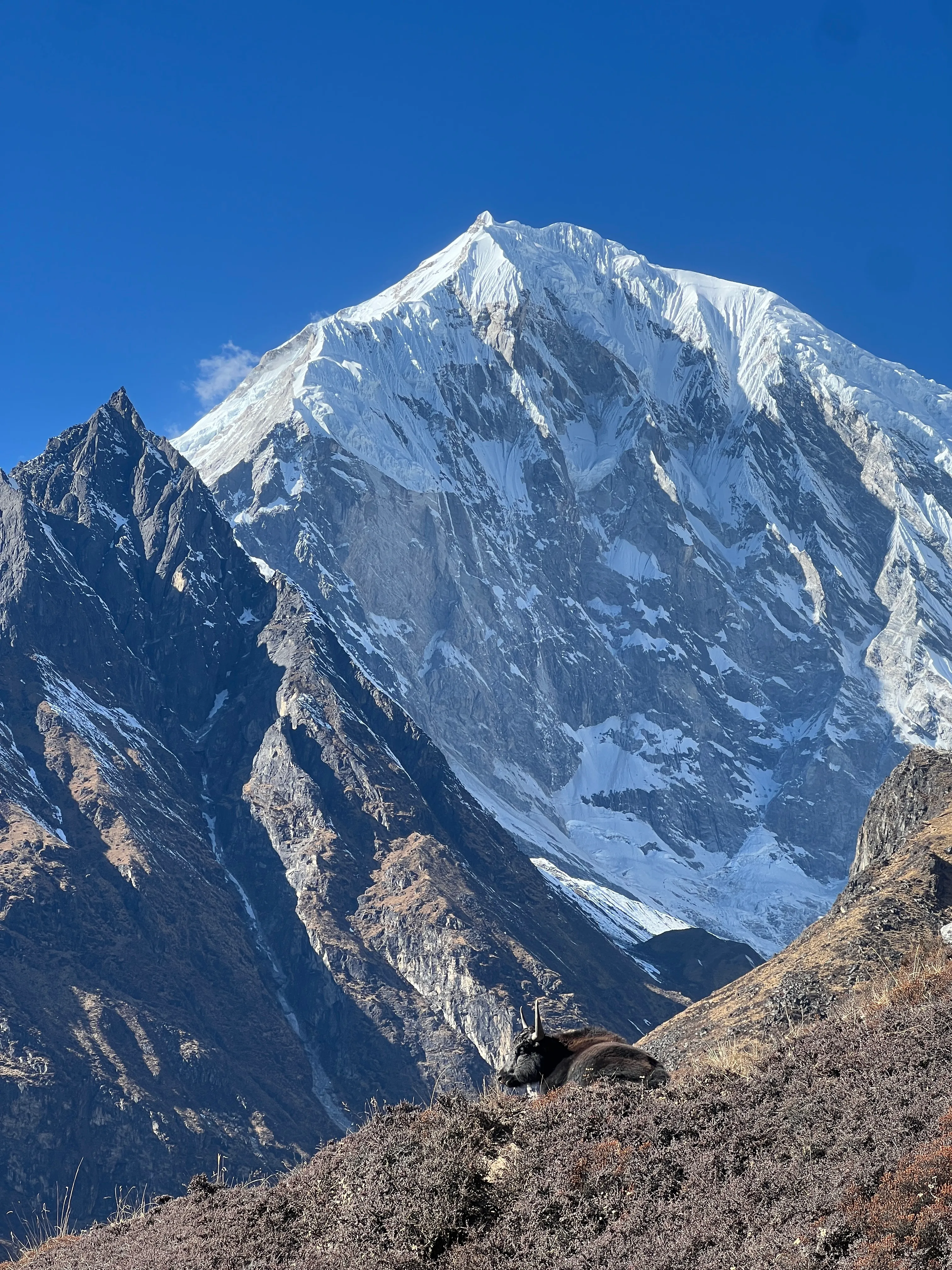 Manaslu, Samagaun, Nepal