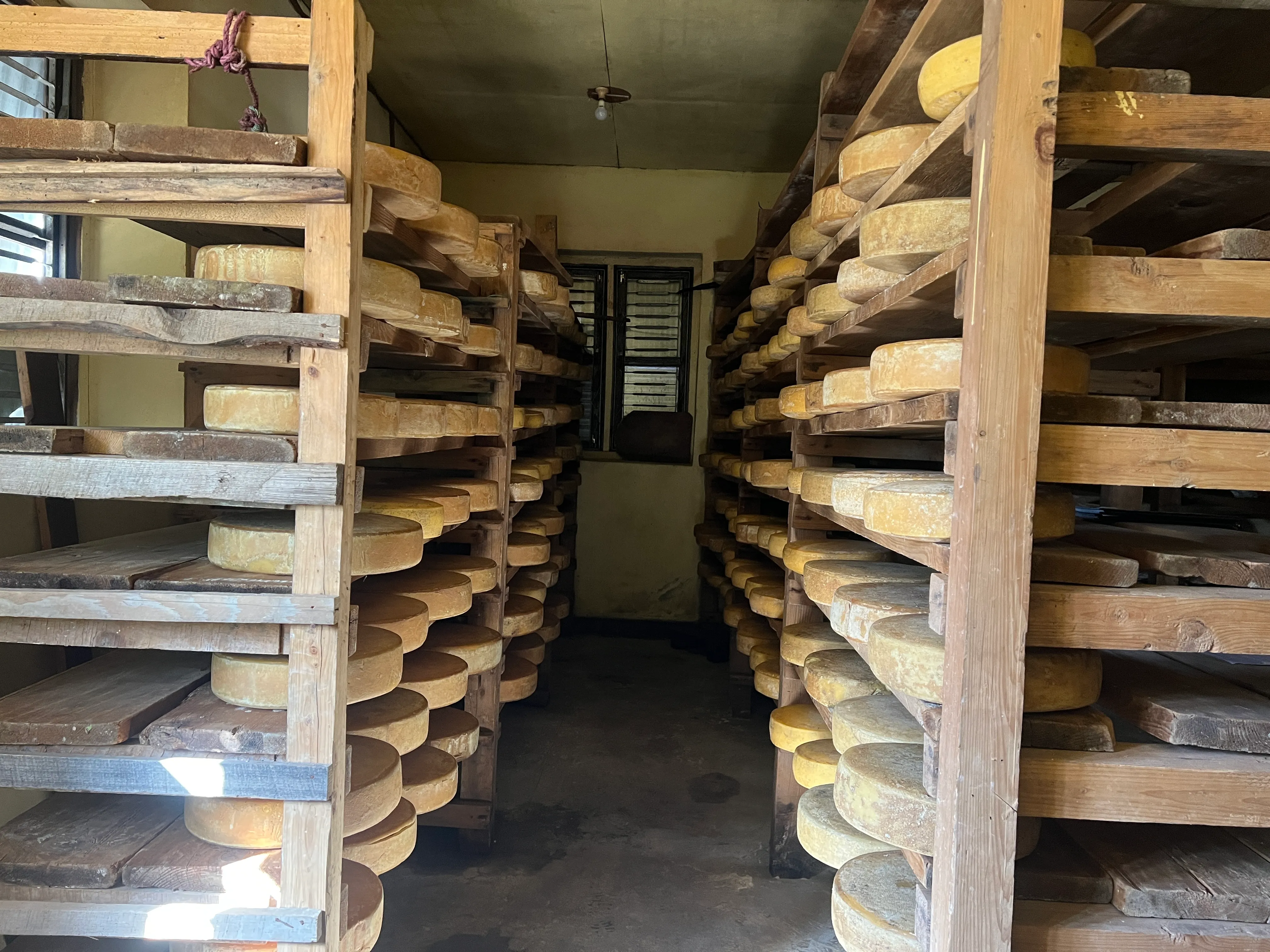  Cheese Factory
