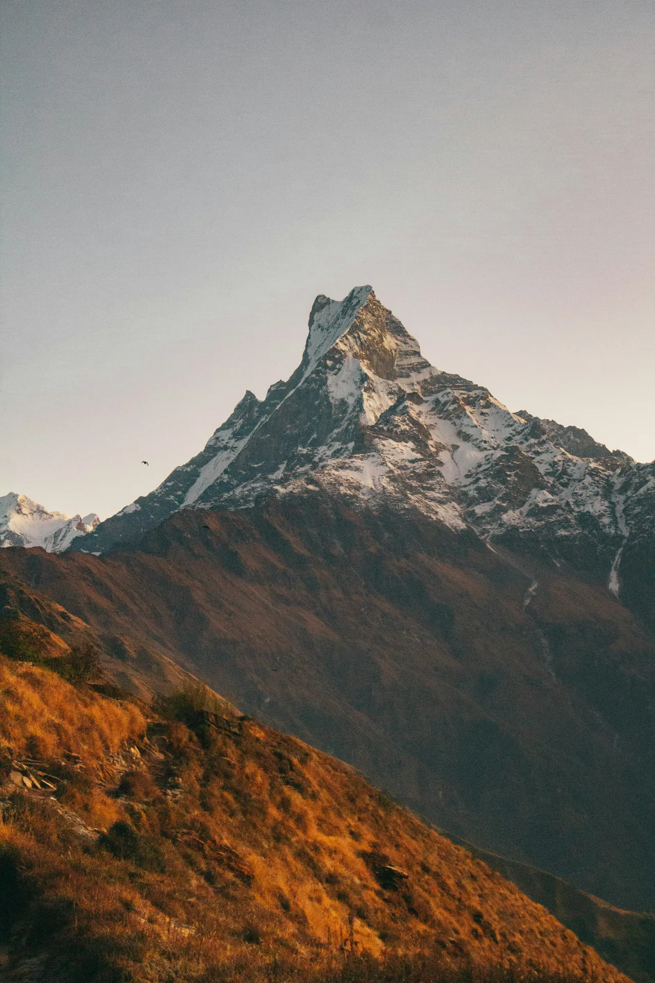 Australian Camp sunset over Annapurna range
