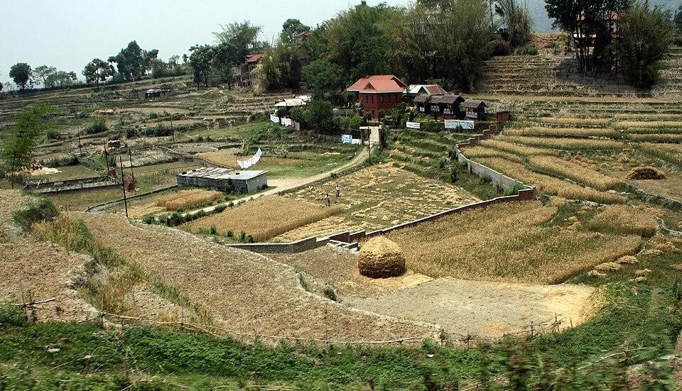 Terraced farmland on the descent toward Changunarayan